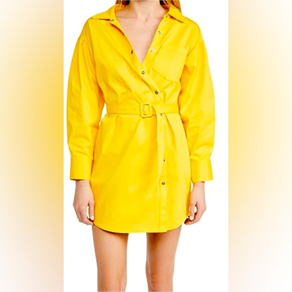 NWT Cinq a Sept Camelia Belted Dress